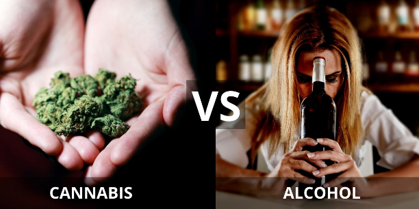 Alcohol Vs Cannabis