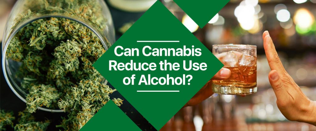 Can Cannabis Reduce the Use of Alcohol?