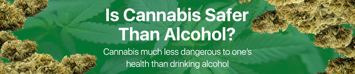 Is cannabis safer than alcohol?