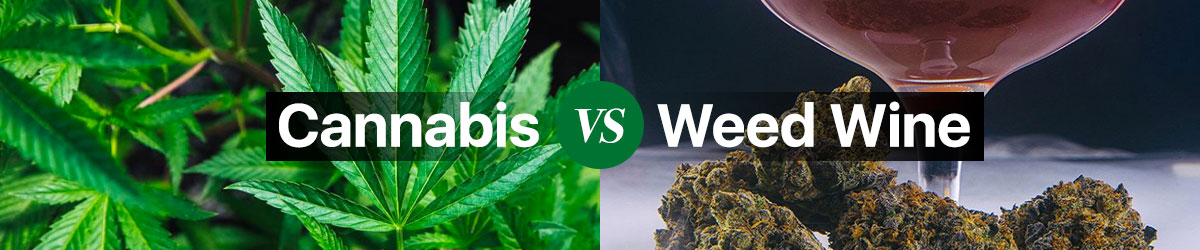 Cannabis vs Weed Wine